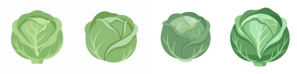 Obraz premium Set of fresh green cabbage heads isolated on white background