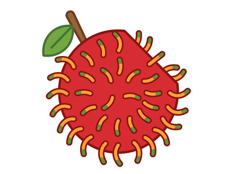 Cute cartoon rambutan fruit illustration isolated on white background. SVG Editable. Vector Illustrations.