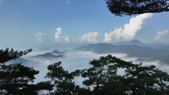Mountain Landscape - Sea of Clouds Timelapse.
A stunning timelapse of a sea of clouds rolling over mountain peaks framed by pine trees under a clear blue sky. Ideal for travel documentaries, meditatio