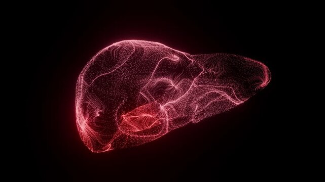 Liver Organ Digital Scan Vertical Futuristic Medical Concept