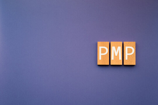PMP Wooden Block Display Representing Project Management Professional Credential &mdash; ideal eye-catcher for certification blog posts