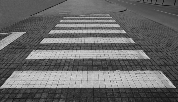 Cobblestone pedestrian crossing with white lines  Abstract road texture and pattern White stripes of pedestrian crosswalk on street paving road.