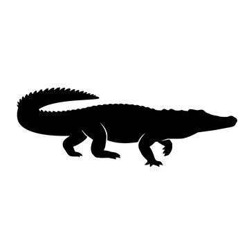 Saltwater crocodile walking vector silhouette transparent png