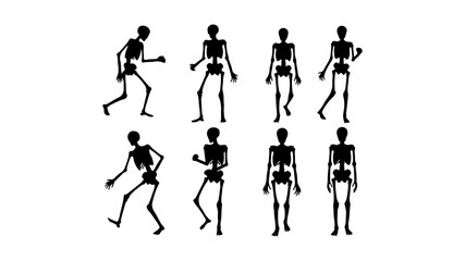 Fototapeta premium Sequence of Human Skeletons Demonstrating Movement and Exercise Postures.