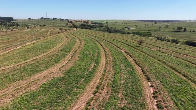 Aerial view of curved agricultural fields with green crops and dry soil under a clear blue sky