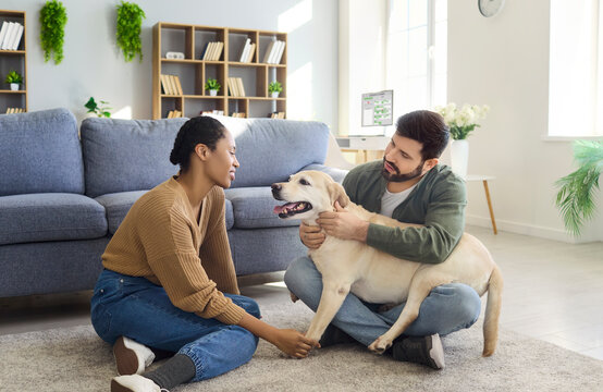 Couple with dog cuddle together at home. Smiling owners sit on carpet in living room, petting their Labrador. Cozy scene suits ads for pet care and insurance. Warm family love and care theme.