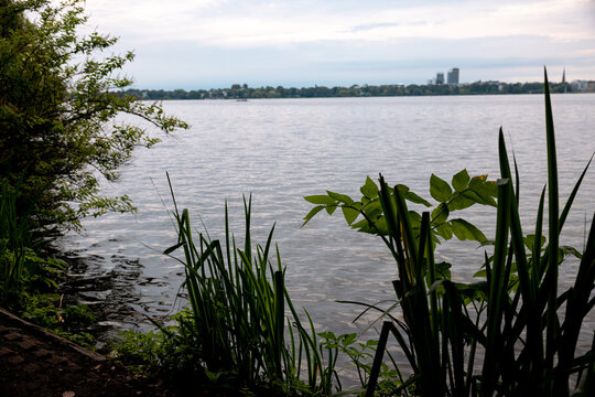 Panoramic view across the Au&szlig;enalster lake under a soft morning sky in Hamburg, Germany.