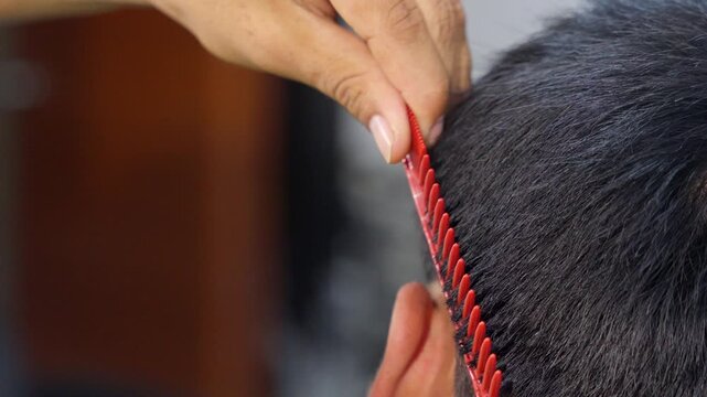 Professional barber cutting hair with electric clipper
