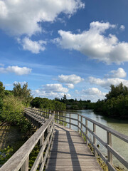 Fototapeta premium Wooden Boardwalk Through Mangrove Wetland in Okinawa, Japan