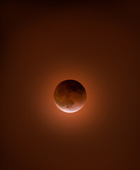 blood moon eclipse © Hayley