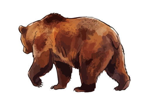 Lively Brown Bear Illustration with Glossy Texture／シズル感のあるヒグマ（くま）のイラスト