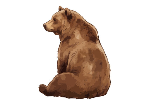Lively Brown Bear Illustration with Glossy Texture／シズル感のあるヒグマ（くま）のイラスト