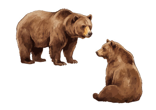 Lively Brown Bear Illustration with Glossy Texture／シズル感のあるヒグマ（くま）のイラスト