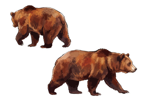 Lively Brown Bear Illustration with Glossy Texture／シズル感のあるヒグマ（くま）のイラスト