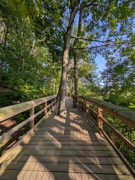 A hiking trail through the park on a beautiful, sunny summer day, with no people around. A boardwalk path through the forest. Concept: active leisure. Rattray march, Ontario, Canada