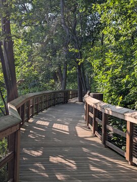 A hiking trail through the park on a beautiful, sunny summer day, with no people around. A boardwalk path through the forest. Concept: active leisure. Rattray march, Ontario, Canada