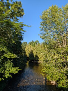 A park with beautiful conifers&mdash;cypresses and a lake whose waters flow past a rocky islands. A quiet, sunny day, with no people around. Rockwood&mdash;nature in the province of Ontario, Canada.