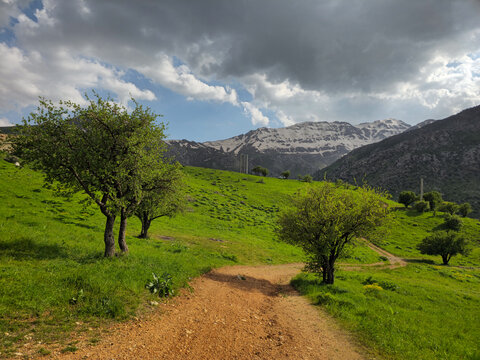 Dirt trail winds past clusters of leafy green trees on a rolling hillside, leading toward snow-capped mountains beneath a dramatic cloudy sky.
📍 Dezli, Sarvabad, Kurdistan 