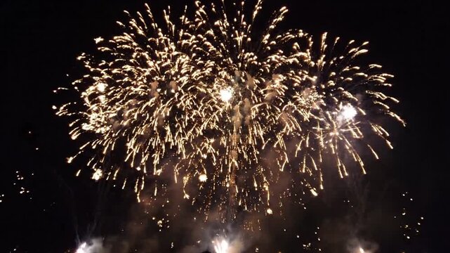 Natural Festival Fireworks Bursting in Night Sky