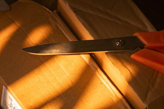 Metal scissors resting on a cardboard box illuminated by a beam of sunlight