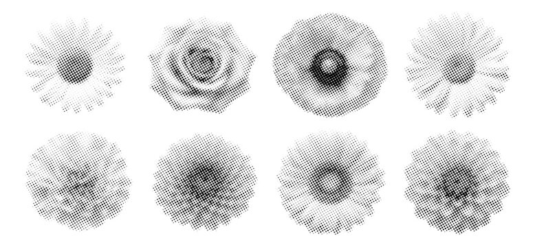 Halftone flower collection with different floral shapes and dotted texture. Botanical elements for posters, prints, collage, stationery, textile and graphic design.