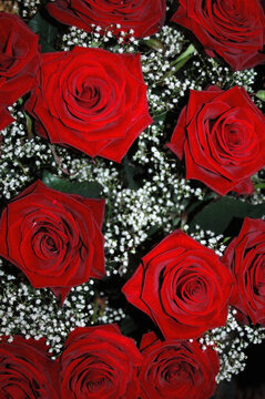 Red Roses Arrangement with Delicate Babys Breath