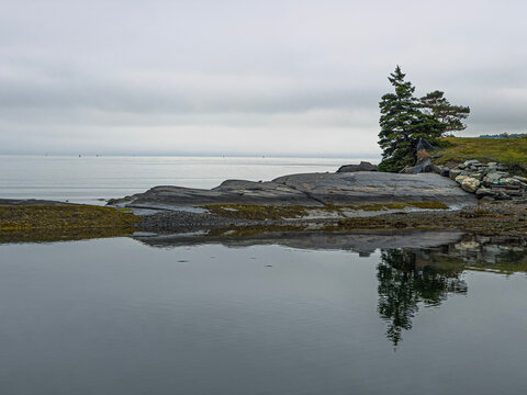 Harbour Rocks by the Ocean