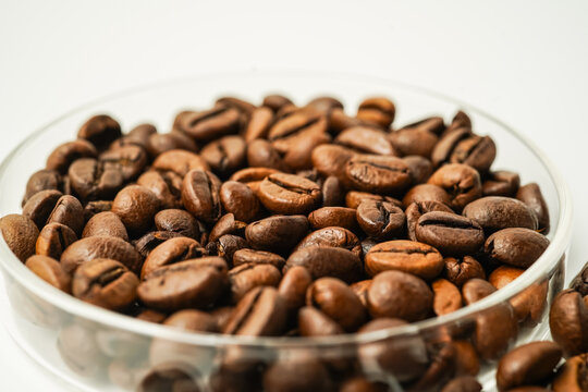 Kopi Luwak Indonesian premium coffee beans isolated, selected coffee beans