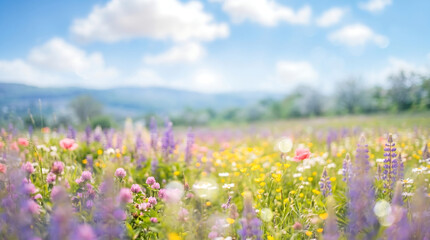Obraz premium Vibrant Spring Meadow with Blooming Wildflowers and Blue Sky, Generative AI.