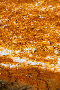 Vibrant, mineral-rich hot spring runoff, brilliant orange thermophilic microbial mats alongside white mineral deposits and flowing water, Grand Prismatic Spring, Yellowstone National Park
