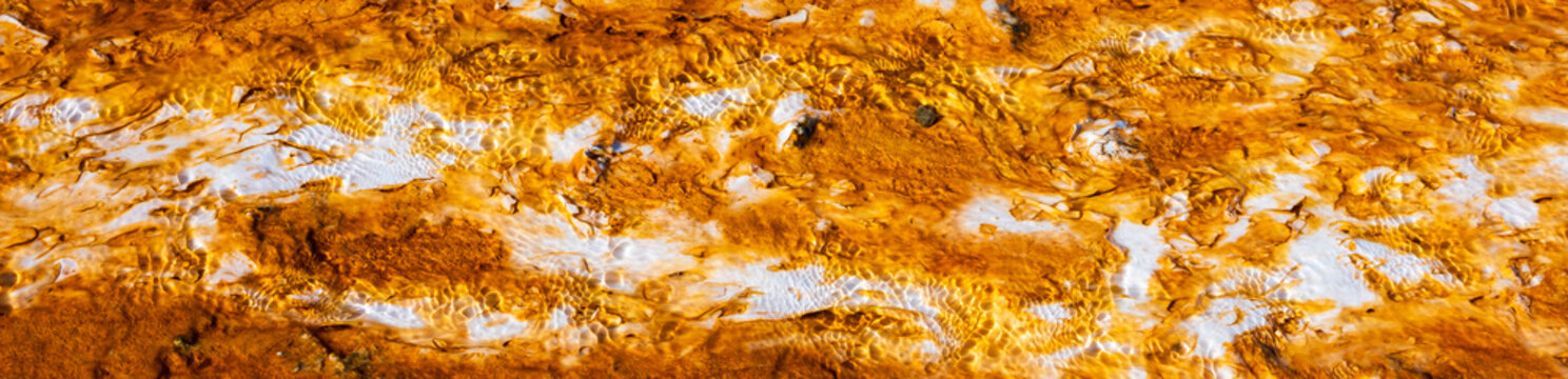 Vibrant, mineral-rich hot spring runoff, brilliant orange thermophilic microbial mats alongside white mineral deposits and flowing water, Grand Prismatic Spring, Yellowstone National Park

