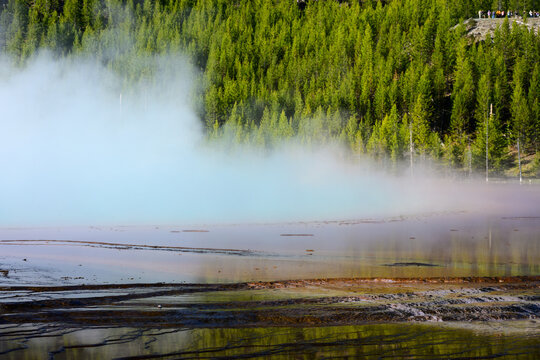 Morning visit to colorful Grand Prismatic Spring, aquamarine blue pool with rainbow color in hot steam, mineral-rich sinter terraces, summer tourism at Yellowstone National Park geothermal features
