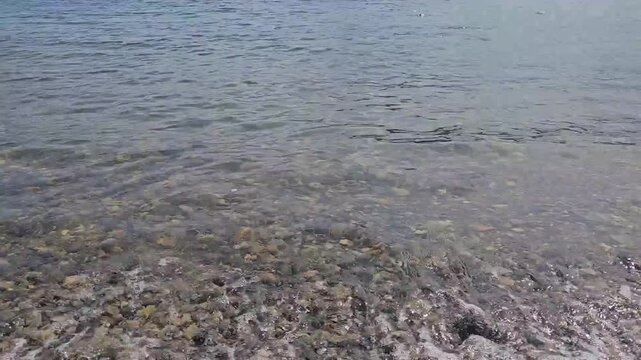 A video filmed on a pebble beach with waves crashing