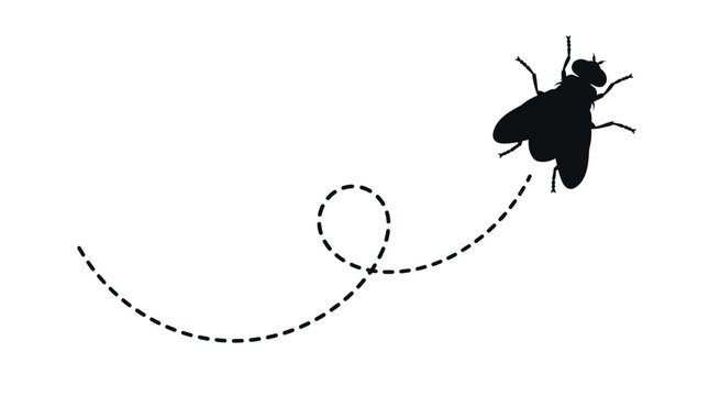 Black housefly silhouette flying with a dashed circular loop path against a clean white background