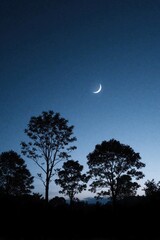 Naklejka premium Night sky captures crescent moon amongst silhouetted trees. Dark trees stand against fading twilight, twilight glow at horizon hints approaching night. Natural beauty of serene outdoor scene with no