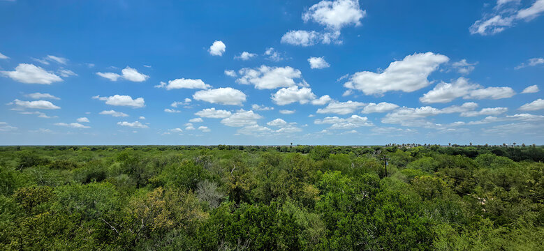 Santa Ana National Wildlife Refuge in Texas