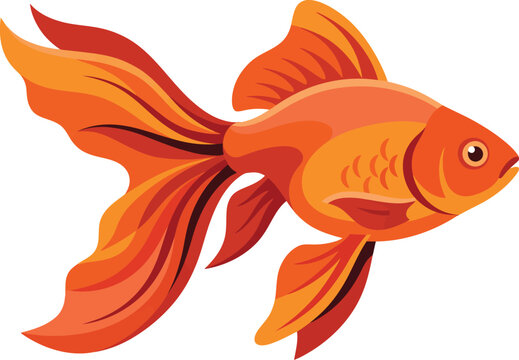 Bright orange goldfish swimming with flowing fins and tail