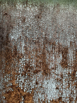 Peeling light blue paint on weathered wood fiberboard
