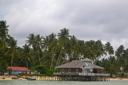 Serene tropical island scene with a charming stilt house nestled among lush palm trees by the calm ocean shore under a cloudy sky