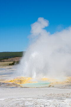 Clepsydra Geyser erupting with yellow minerals at base and small hot spring, sunny blue sky day, summer vacation at Yellowstone National Park viewing natural geothermal features
