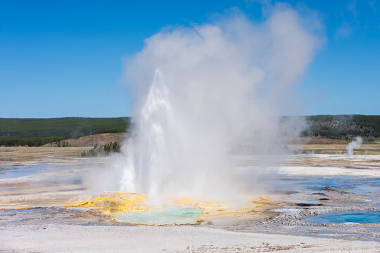 Clepsydra Geyser erupting with yellow minerals at base and small hot spring, sunny blue sky day, summer vacation at Yellowstone National Park viewing natural geothermal features
