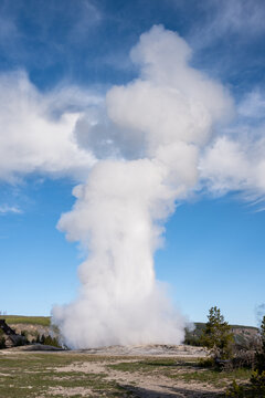 Famous Old Faithful cone geyser erupting on a sunny day, summer tourism at Yellowstone National Park viewing natural geothermal features
