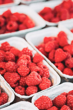 Fresh Raspberries in Baskets at farmers local Market