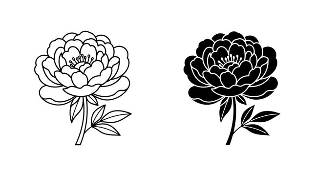 Peony flower icon set, outline and solid isolated on transparent background