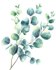 Obraz premium Natural tree or leaf isolated white background for decorate
