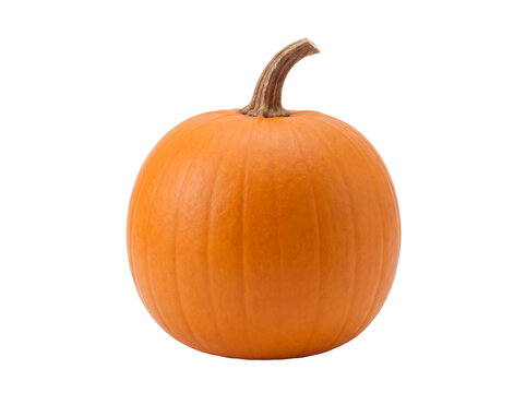 Fresh orange pumpkin isolated on transparent background