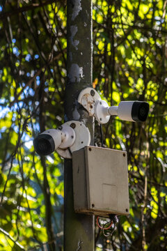 Security Cameras Mounted on a Pole in a Park Covered by Green Leaves and Nature in Brazil. Outdoor CCTV surveillance system