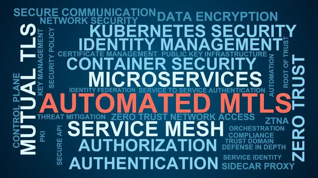 Automated Mtls Word Cloud