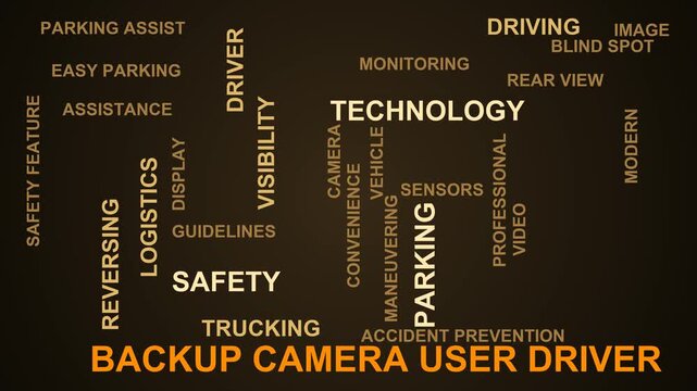 Backup Camera User Driver Word Cloud