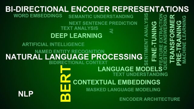 Bert Word Cloud